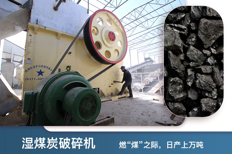 濕煤破碎機(jī) 濕煤破碎機(jī)